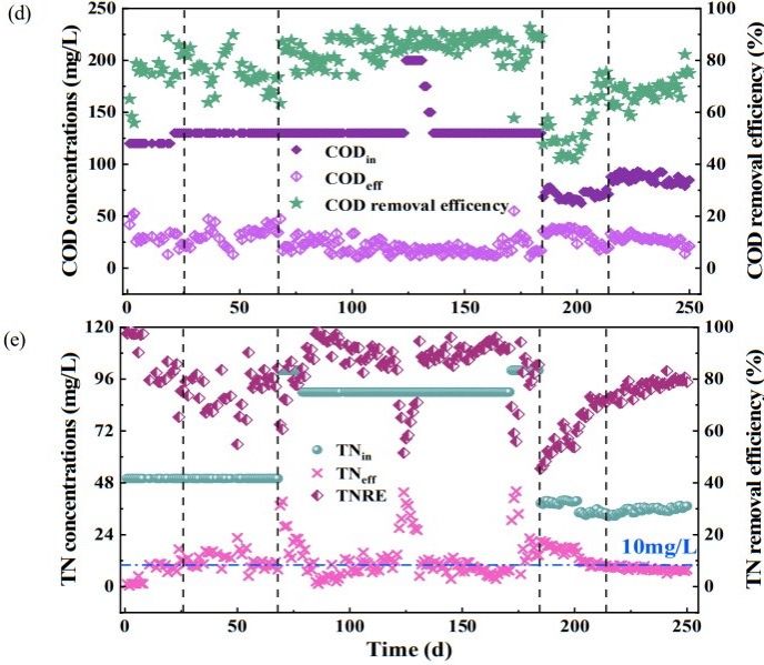图3 (3).jpg 图3 (3).jpg
