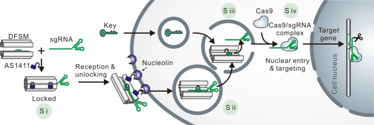 20230821-11.jpg 20230821-11.jpg